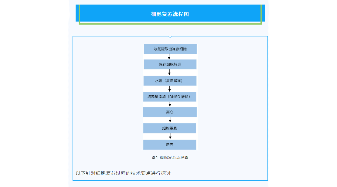 圖層-36.jpg