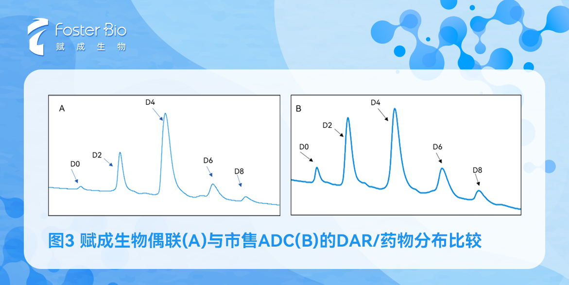 組-1-拷貝-2.jpg